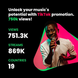 TikTok Music Promotion