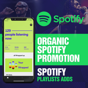 Spotify Playlists Placements