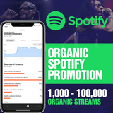 Spotify Promotion Campaign Monthly