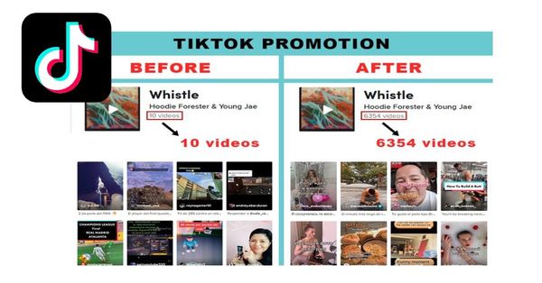 TikTok - Monthly Growth Plans